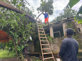 Cidades da região registram quedas de árvores após chuva; São José teve ventos de 109 km/h