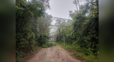 Cidades do interior de SP registram queda de árvores e rajadas de vento de mais de 90 km/h durante chuva forte 