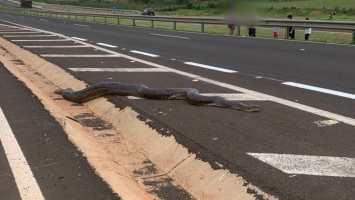 Homem morre após perder controle da moto e bater contra poste em Araçatuba