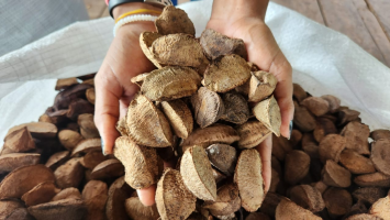 Enem 2025: nutricionista do Alto Tietê dá dicas do que levar para comer nas provas 