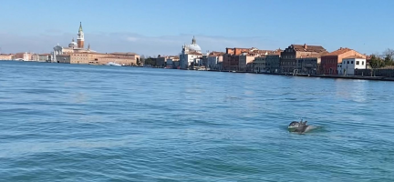 Lagoa rasa e cortada por canais: entenda onde aconteceu o acidente que matou brasileira em Veneza
