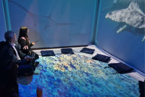 Cinema imersivo simula fundo do mar em novo espaço sobre raias-manta no litoral de SP