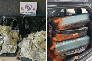 Passageiro é preso com quase 40 kg de ‘supermaconha’ em ônibus no interior de SP