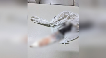 Homem é preso suspeito de matar cachorro a facadas em Jundiaí