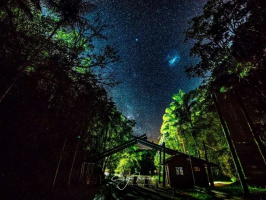 Observação de aves, primatas, trilhas e passeios noturnos: Parque Carlos Botelho é referência em ecoturismo no interior de SP